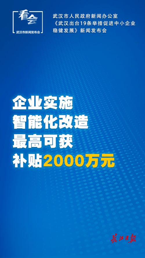 武漢出臺中小企業扶持新政 社保延長、稅費減免與技術推廣齊發力